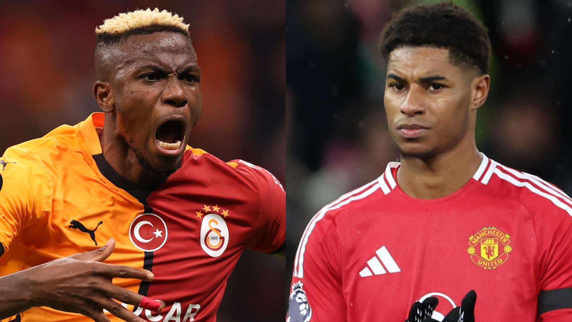 年轻化与活 年轻化与活