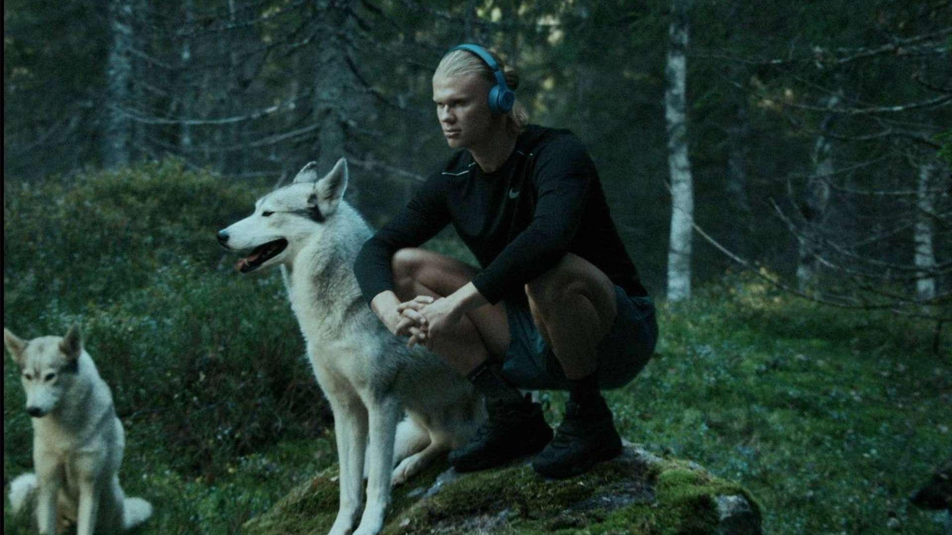 际旅客更好 际旅客更好