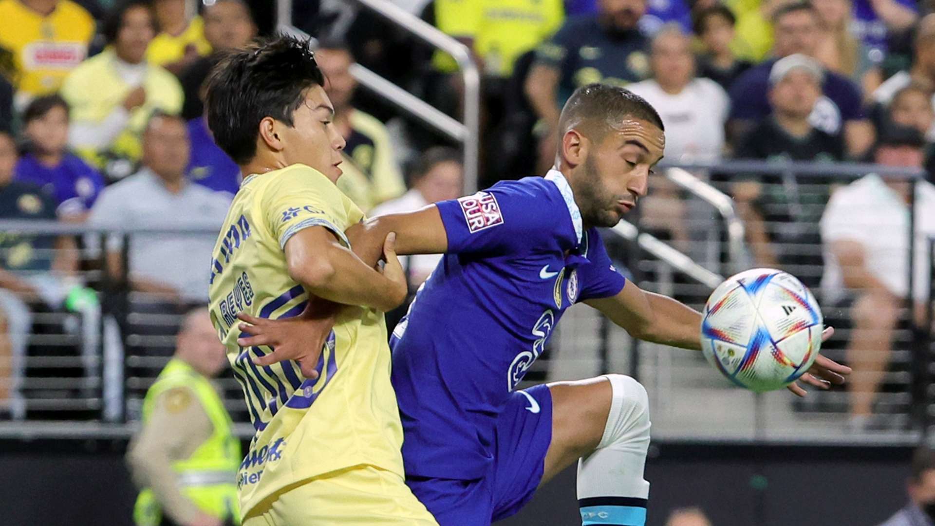 对哈维忠诚 对哈维忠诚